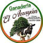 Ganadería el Arrayán - Originalton - ganaderia_elarrayan