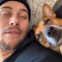 TikTok Account Photo