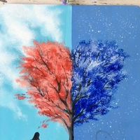 TikTok Account Photo