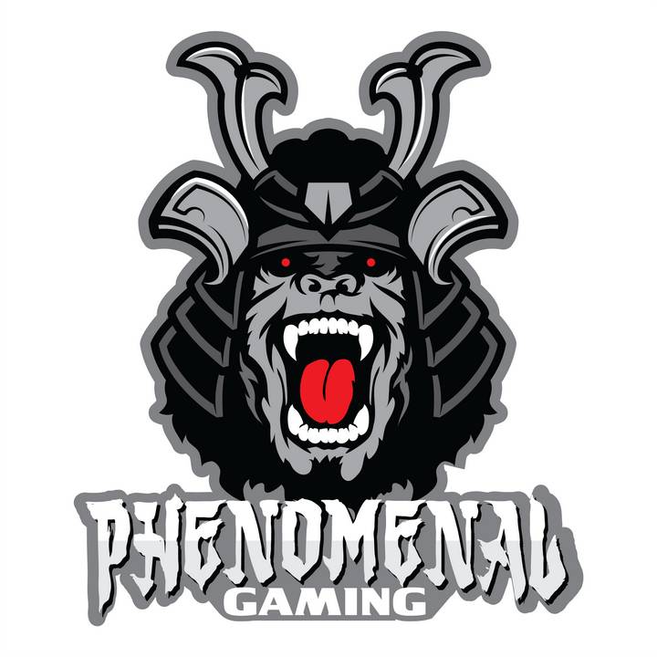 PhenomenalGaming - original sound - phenomenal_gaming