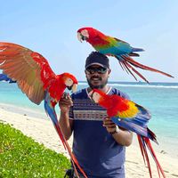 TikTok Account Photo