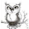White Owl - @whiteowl2020 - TikTok