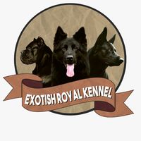 exotishroyalkennel