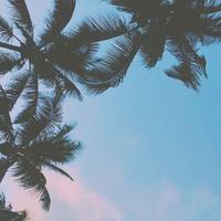 TikTok Account - https://p16-amd-va.tiktokcdn.com/tos-maliva-avt-0068/7329880931819978757~tplv-tiktokx-cropcenter-q:200:200:q70.jpg