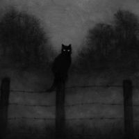 misanthropic.apparition