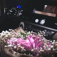 TikTok Account - https://p16-amd-va.tiktokcdn.com/tos-maliva-avt-0068/7335866523423358982~tplv-tiktokx-cropcenter-q:200:200:q70.jpg