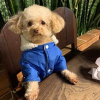 TikTok Account - https://p16-amd-va.tiktokcdn.com/tos-maliva-avt-0068/7339971257640681477~tplv-tiktokx-cropcenter:200:200.jpeg