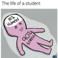 TikTok Account - https://p16-amd-va.tiktokcdn.com/tos-maliva-avt-0068/7342489529250643973~tplv-tiktokx-cropcenter-q:200:200:q70.jpg