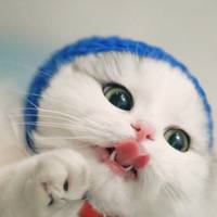 TikTok Account Photo