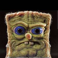 TikTok Account - https://p16-amd-va.tiktokcdn.com/tos-maliva-avt-0068/7344604601628393514~tplv-tiktokx-cropcenter-q:200:200:q70.jpg