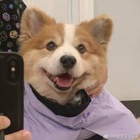TikTok Account Photo