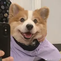 TikTok Account Photo