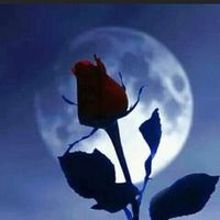 TikTok Account - https://p16-amd-va.tiktokcdn.com/tos-maliva-avt-0068/7348156429179551787~tplv-tiktokx-cropcenter:200:200.jpeg