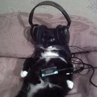 Sound image