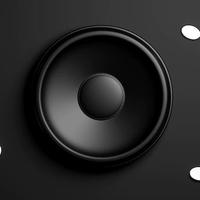 Sound image