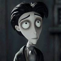 TikTok Account Photo
