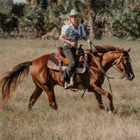 chaotichorse