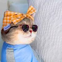 TikTok Account Photo