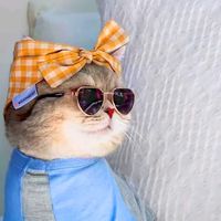 TikTok Account Photo
