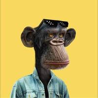 TikTok Account Photo
