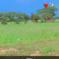 ali.ag.mohamed