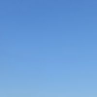 TikTok Account - https://p16-amd-va.tiktokcdn.com/tos-maliva-avt-0068/740c7dd4ef6baf081518b275756d6a33~tplv-tiktokx-cropcenter:200:200.jpeg