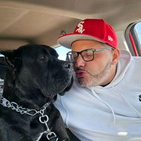 cane_corso_empire