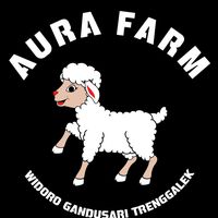 aura_farm85