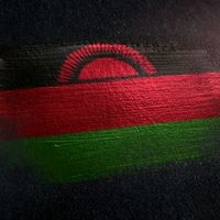 TikTok Account - https://p16-amd-va.tiktokcdn.com/tos-maliva-avt-0068/7559e44909c4fa3d2cfd882a379d5e41~tplv-tiktokx-cropcenter:200:200.jpeg