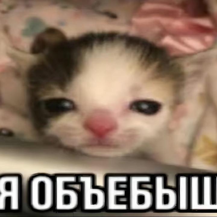 clslpaodijekwkee