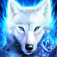 TikTok Account - https://p16-amd-va.tiktokcdn.com/tos-maliva-avt-0068/764e5442dd3cd5cae6195c28b4ed9d86~tplv-tiktokx-cropcenter:200:200.jpeg