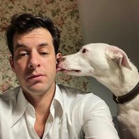 TikTok Account - https://p16-amd-va.tiktokcdn.com/tos-maliva-avt-0068/768a705f85c053a852e7d342badd299a~tplv-tiktokx-cropcenter:200:200.jpeg