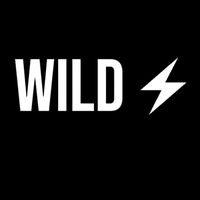 wild_network3
