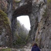 TikTok Account - https://p16-amd-va.tiktokcdn.com/tos-maliva-avt-0068/77d47b23f5ce698e0b2ac1ef2e3b09f9~tplv-tiktokx-cropcenter-q:200:200:q70.jpg