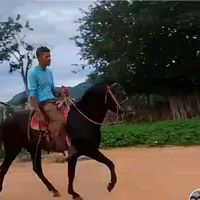 josemarsilvad
