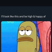 TikTok Account Photo