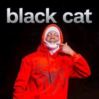 sonofblackcat4