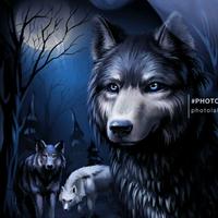 TikTok Account - lobo_30_03
