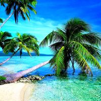 TikTok Account - https://p16-amd-va.tiktokcdn.com/tos-maliva-avt-0068/7dd47bb919717314d5c7001fc3e14597~tplv-tiktokx-cropcenter:200:200.jpeg