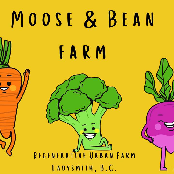 Moose & Bean Farm - original sound - mooseandbeanfarm