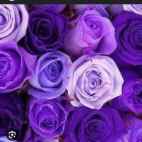 original sound - the_adhis