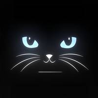 TikTok Account Photo