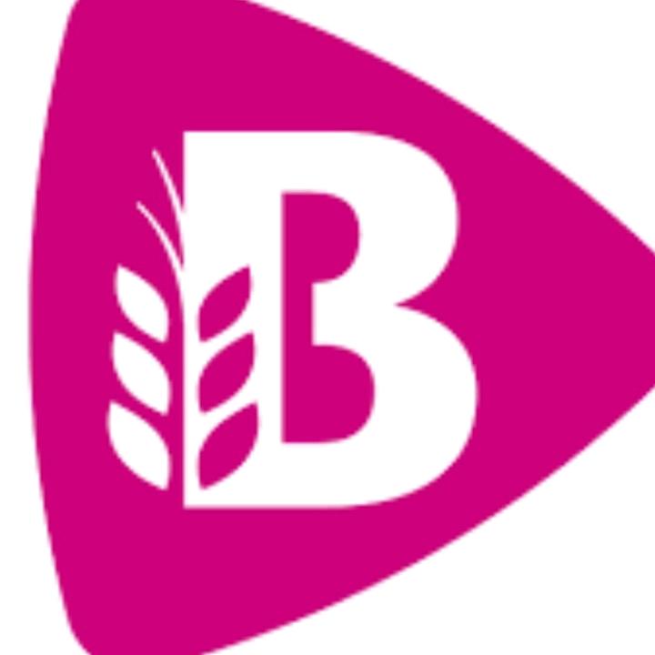 bakkerbartputten