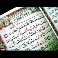 TikTok Account - https://p16-amd-va.tiktokcdn.com/tos-maliva-avt-0068/8155d9bae30282972ce13bc528d45c72~tplv-tiktokx-cropcenter-q:200:200:q70.jpg