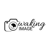 Sound image