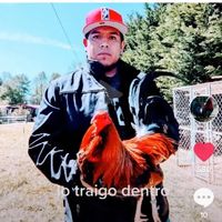 alanisgamefarm85