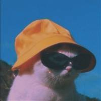 TikTok Account Photo