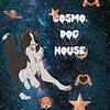 cosmo dog 💞🪐🐕🐩 - @cosmo.god.house.1 - TikTok