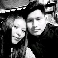 gaviota_x_ciempre