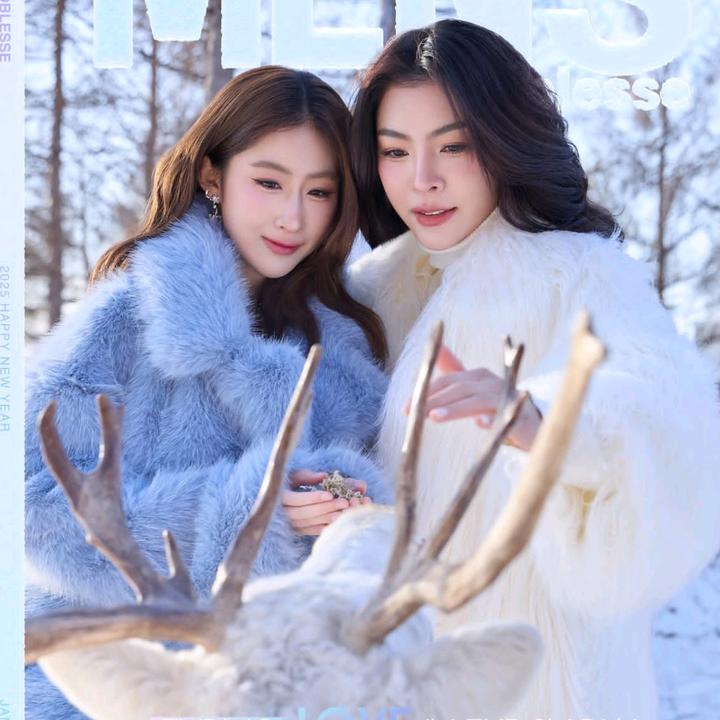 @nanii.os